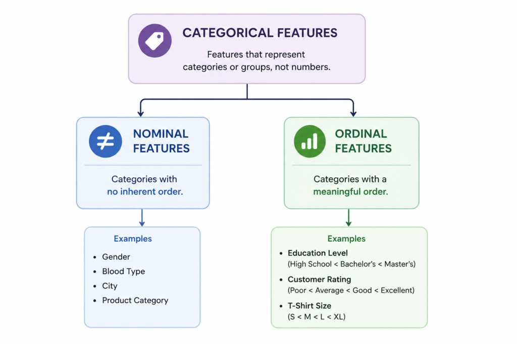 types of categorical features for encoding in machine learning